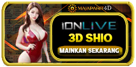Casino Games 3D Shio